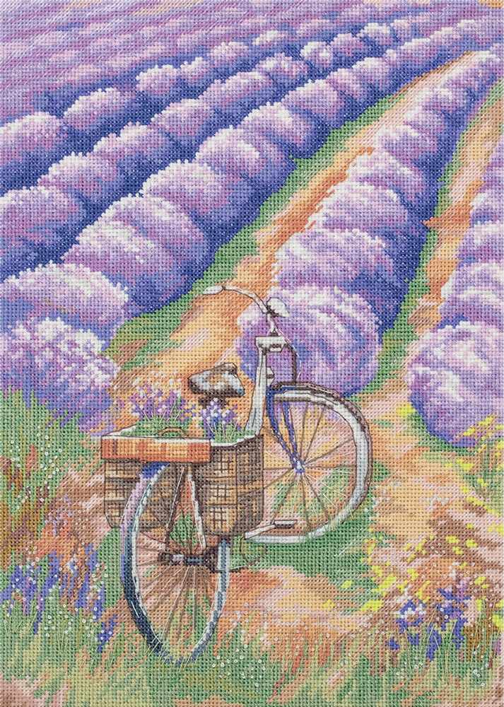 Beauty of Provence